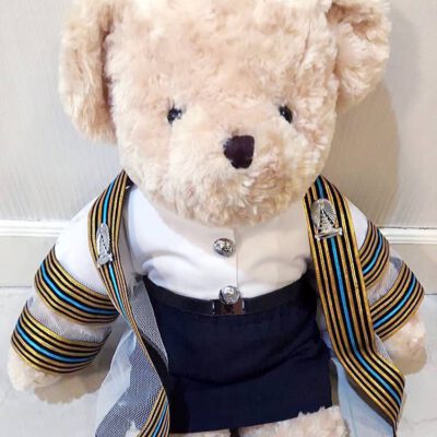 Graduation teddy bear