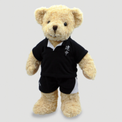 rugby teddy bear