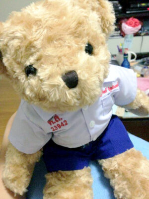 School uniform teddy bear