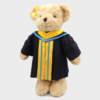 Graduation teddy bear