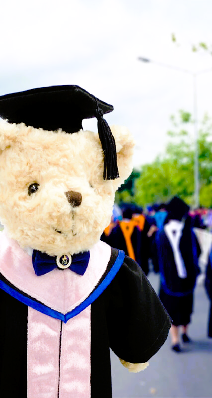 Graduation teddy bear
